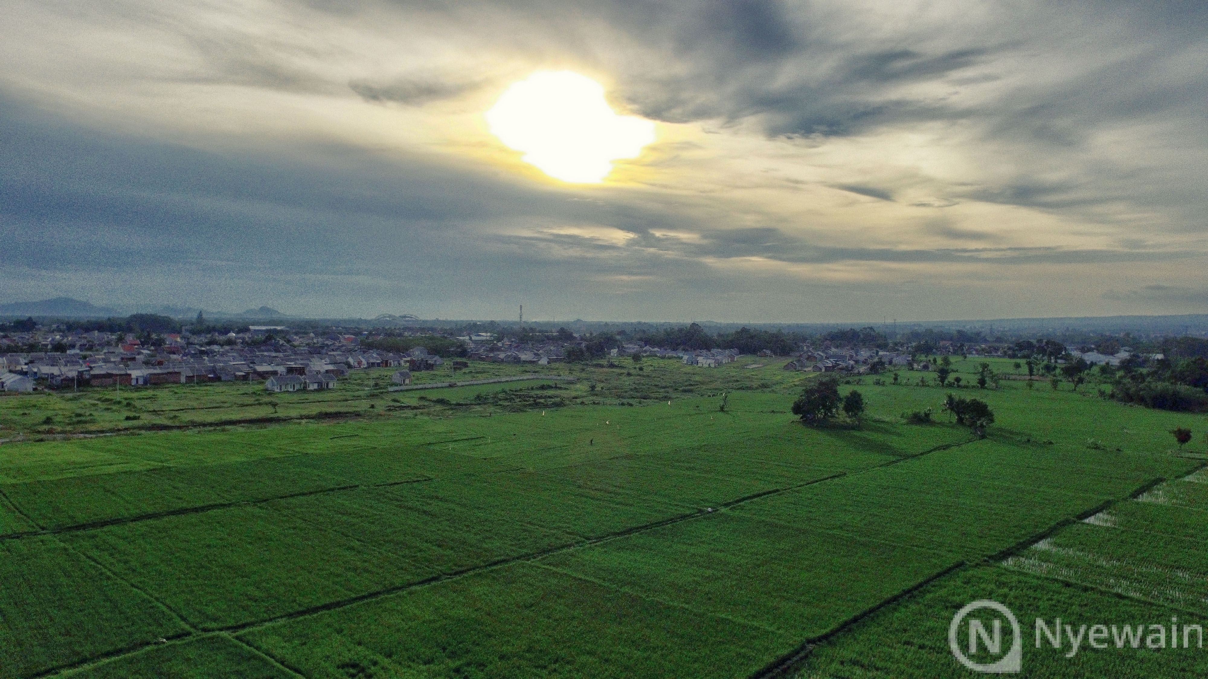 Sewa Drone Jember  DJI Phantom 3  Nyewain